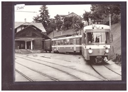 FORMAT 10x15cm - TROGENER BAHN ( TB ) - CARTE BVA REPRO ANNEES 70 - TRAIN - BAHN - No 181.11 - TB - Trogen