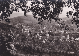 ALLEMAGNE,GERMANY,DEUTSCHLAND,BADE WURTEMBERG,LAND,BADEN-BADEN,CARTE PHOTO LA CIGOGNE - Baden-Baden