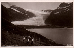Norvège, Norway, Norge, Svartisen - Glacier Et Travaux Des Champs (Breen, Feltarbeid) Carte N° 671 Non Circulée - Norway