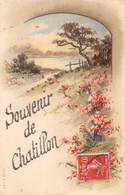 20-6439 : SOUVENIR DE CHATILLON ? - Chatillon Sur Loire