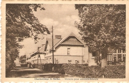 Zolder : Charbonnage --- Maisons Pour Ouvriers-mineurs ( Mijnwerkershuizen) - Heusden-Zolder