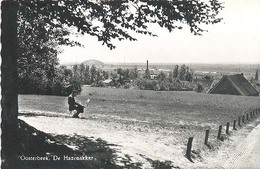 Oosterbeek, De Hazenakker - Oosterbeek