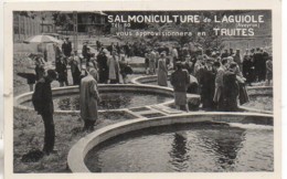 12 Salmoniculture De LAGUIOLE - Laguiole