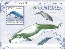 2009 Comoros Comores Whales Complete Set Of 2 Sheets MNH - Baleines