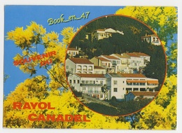 {59045} 83 Var Rayol Canadel ; Mimosas - Rayol-Canadel-sur-Mer