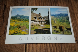 3900-         AUVERGNE - Auvergne