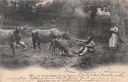 Non Localisé Divers     30         La Vie Aux Champs Dans Les Cévennes . Gardien De Vaches     (voir Scan) - Otros & Sin Clasificación