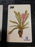 BRAZIL   INDUCTIVE CARDS  Flowers /botanicas     15 CARDS    ** 1669 ** - Brésil