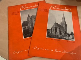 HEEMSCHUT - Heemkunde Nederland - Tijdschrift - 2 Nummers - Kasteelnr + Twentenr - Antique