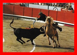 CPSM/gf TAUREAUX.  Alvaro Domecq.  Un Par Al Estribo, Cheval...K604 - Toros