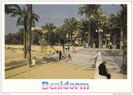 BENIDORM    PARQUE DE ELCHE     (EDIT EDICIONES 07) - Alicante