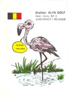 Citizen Band Carte QSL Grace Belgique Flamant Rose 1980 - CB-Funk