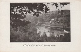 87 - CONDAT SUR VIENNE - Les Bords De La Vienne - Condat Sur Vienne