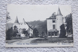 Hamoir "Château Des Vieux Fourneaux" - Hamoir