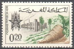 Maroc - Morocco - Beet - MNH - Agriculture
