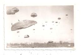 Parachutisme--(D.6781) - Fallschirmspringen