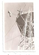 Parachutisme--(D.6782) - Fallschirmspringen