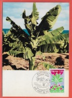 AGRICULTURE BANANE FRANCE MARTINIQUE CARTE MAXIMUM DE 1977 - Agriculture