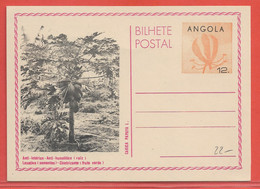 AGRICULTURE PAPAYE ANGOLA ENTIER POSTAL - Agriculture