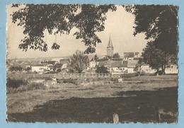 TH0713  CP  COUSSEY  (Vosges)  Le Village   +++++++++++++++ - Coussey