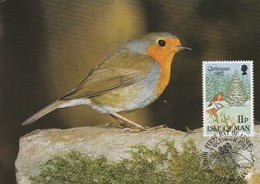 Carte Maximum - Oiseaux - Isle Of Man - Rouge-gorge - 1982 - Moineaux