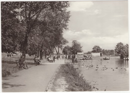 Mühlhausen (Thür.) - Naherholungszentrum Schwanenteich - Promenade Am Teich - (DDR) - Mühlhausen