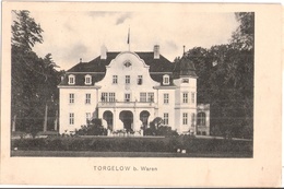 Schloß TORGELOW Bei Waren Autograph Adel Mit Bahnpost 1.11.1906 ZUG 166 Gelaufen - Waren (Mueritz)