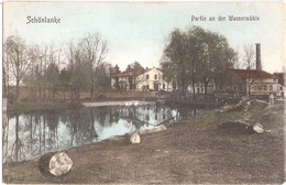 SCHÖNLANKE Grenzmark Posen Westpreußen Wasser Mühle Color Trzcianka BahnPost BERLIN - DIRSCHAU ZUG 301 30.4.1907 - Posen