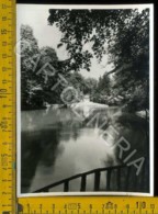 Delcampe - Monza Città - Monza