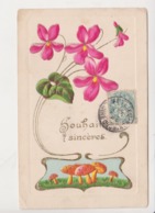 27882 Fantaisie Souhaits Sinceres - Fleur Pensée Champignon - Modern Style -1905? Relief - Champignons