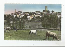 MONTCUQ (LOT) 3 VUE GENERALE PANORAMIQUE (VACHES BRIOUTANT) - Montcuq