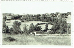 Chaumont-Gistoux. Panorama. - Chaumont-Gistoux