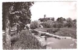 Chaille Les Marais (85 - Vendée) Canal De L'Eglise - Chaille Les Marais