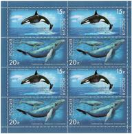 Russia 2012 . Fauna. Whales. Sheetlet Of 8 (4 Pairs).  Michel # 1788-89 KB - Unused Stamps