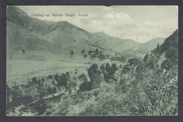 1908. New Zealand.  POST CARD. Looking Up Wairau Gorge, Nelson. To Cape Town, South A... (MICHEL 100) - JF323567 - Storia Postale