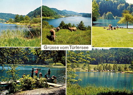 HAUSEN A.A. Camping-Platz U. Natur-Strandbad Türlersee - Hausen Am Albis 