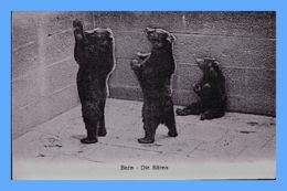 CPA - Bern (Suisse) - Die Bären  -  Les Ours - Ours