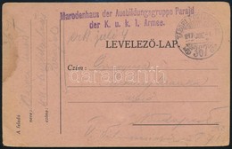 1917 Tábori Posta Levelezőlap "TP 367" , "Marodenhaus Der Ausbildungsgruppe Parajd Der K.u.k. 1 Armee" - Other & Unclassified