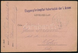 1917 Tábori Posta Levelezőlap / Field Postcard "Etappenpferdespital Hubertuslak Der 1. Armee" + "VÁLASZÚT" - Other & Unclassified