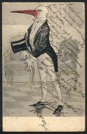 ARTIST SIGNED: Stork Wearing Tailcoat And Gloves, Used In 1904 In Buenos Aires, VF Quality - Autres & Non Classés