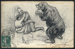 ARTIST SIGNED: "Bear Approaching", Used In France In 1919, VF Quality" - Autres & Non Classés