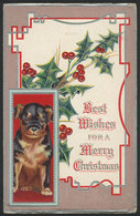 ARTIST SIGNED: Christmas Greetings, Puppy And Mistletoe, Used In USA In 1910 - Autres & Non Classés