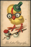 ARTIST SIGNED: Easter Greetings, Chick With Glasses And Hat, Ladybug, Old German PC Used Circa 1915 - Other & Unclassified