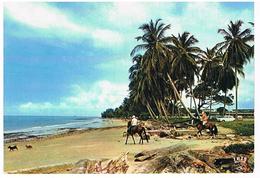 LIBREVILLE  BORD  DE MER  CPM  TBE  GA01 - Gabon