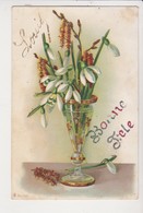 27916 Fantaisie Fleur - Perce Neige Chaton Saule  -  1904 - Prenom Louis Bonne Fête, Texte Abimé - Flowers