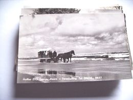 Nederland Holland Pays Bas Terschelling Hoorn Met Huifkar Op Strand - Terschelling