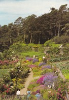 Ecosse, The Walled Garden - Ross & Cromarty