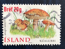 Funghi III Serie. Leccinum Scabrum - Mushrooms - Used Stamps