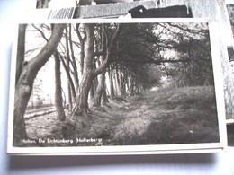 Nederland Holland Pays Bas Holten Bosrijke Holterberg Lichtenberg - Holten