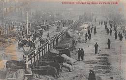 PARIS-CONCOURS GENERAL AGRICOLE DE PARIS 1908 - Sonstige & Ohne Zuordnung